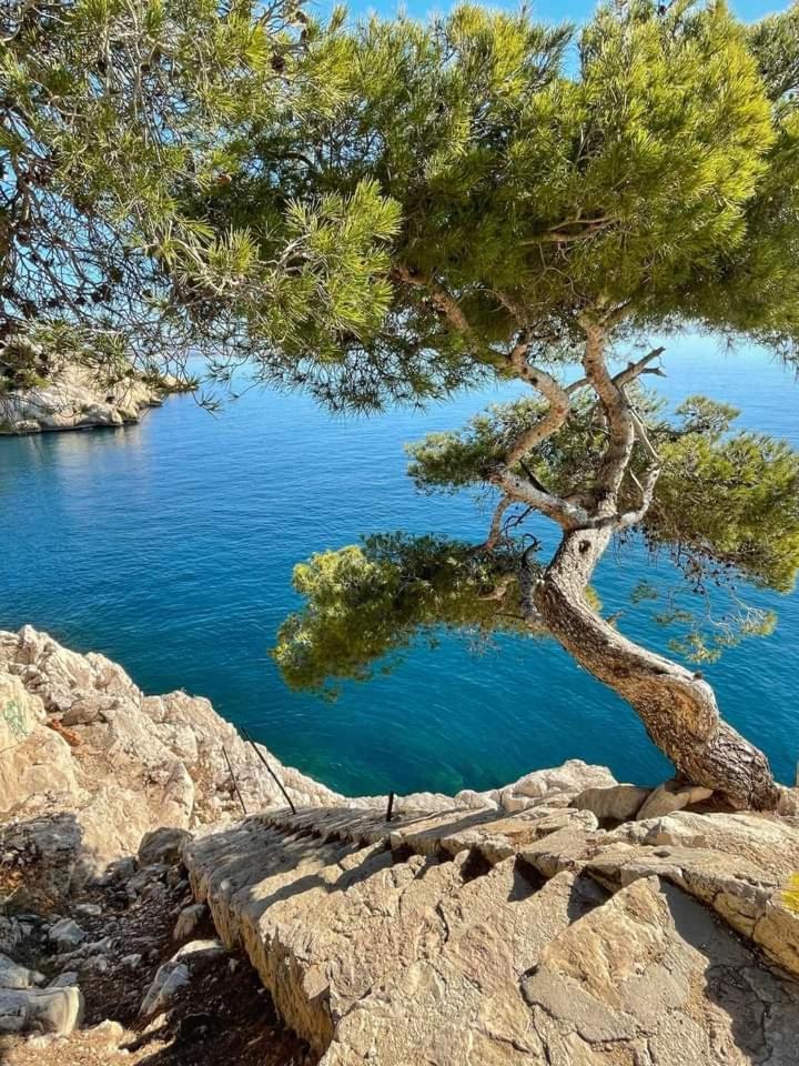 Villa Calanques Ensues la Redonne Ruang foto