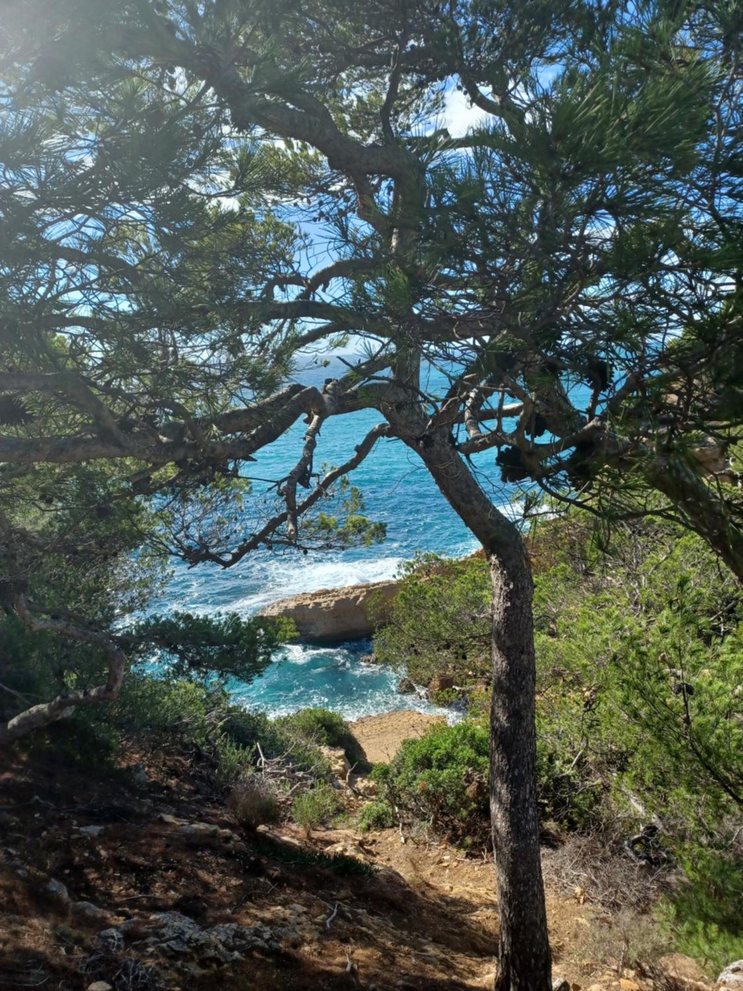 Villa Calanques Ensues la Redonne Ruang foto